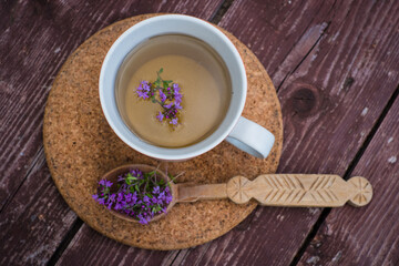 Wild thyme tea. Cup of fresh herbal tea with thymus serpyllum.