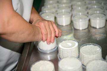 Artisan production of fresh goat's milk cheese