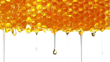 Honey dripping from honey comb on white background.