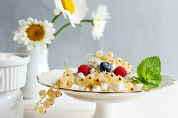 Homemade cottage cheese and ripe white currants. Healthy breakfast