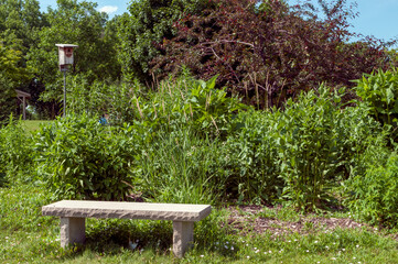Native Plant Garden And Bench