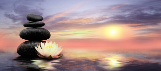Zen, meditation, harmony. Beautiful lotus flower and stack of stones on water surface, space for...