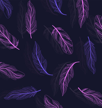 Many Beautiful Feather On Dark Background, Illustration