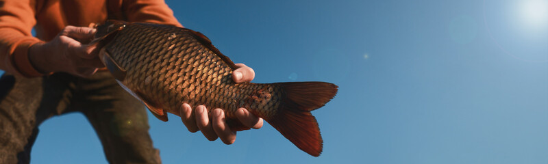Fisherman holding caught fish against blue sky, closeup view with space for text. Banner design