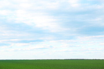Picturesque view of green agricultural field on cloudy day