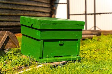 The big green bee hive - 517541282