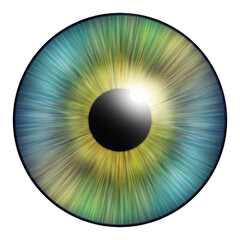 Fototapeta na wymiar Iris of the human. The iris of the eye. Eye illustration. Creative graphic design.