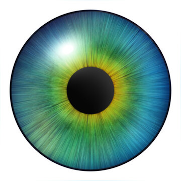 Iris of the eye. Human iris. Illustration of an eye. Multicolored eye on a white background.