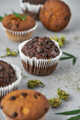 Cupcakes with green marijuana leaf and dry buds