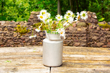 Fototapeta na wymiar Bouquet of daisies in an old aluminum can against the background of greenery