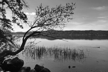 Laacher See