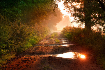 Road in sunrise foggy light
