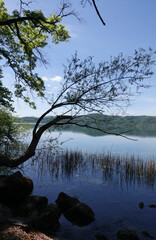 Laacher See