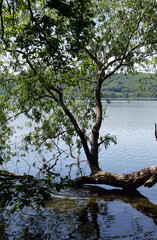 Laacher See