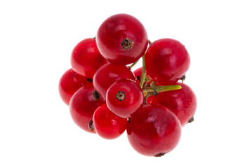 red currant berry isolated