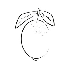 Lemon with Leaves one line drawing black sketch on white background. Contour modern minimalist illustration of lemon. 