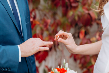 Obraz na płótnie Canvas bride and groom hands with rings