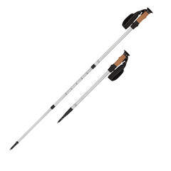 trekking poles isolated on white background