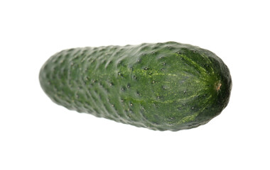 Fresh ripe green cucumber isolated on white