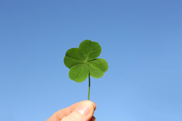 Woman holding one beautiful green clover leaf against blue sky, closeup