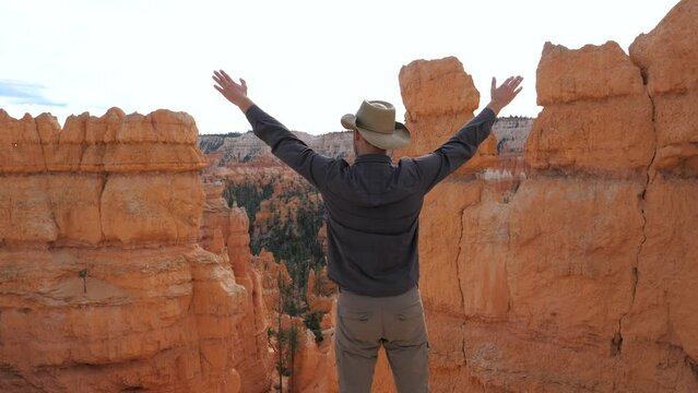 Man Raises His Hands Up Having Achieved Success At The Top Of Canyon