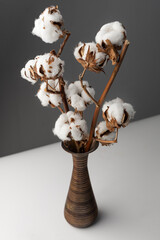 Bouquet of cotton flowers in a vase on a gray background