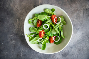 salad vegetable tomato, onion, lettuce mix, mache green fresh healthy meal food snack diet on the...