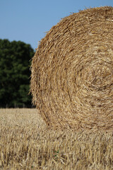 Haystacks in a field at golden hour, French countryside
