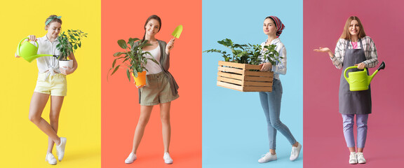 Set of female gardeners with plants on colorful background