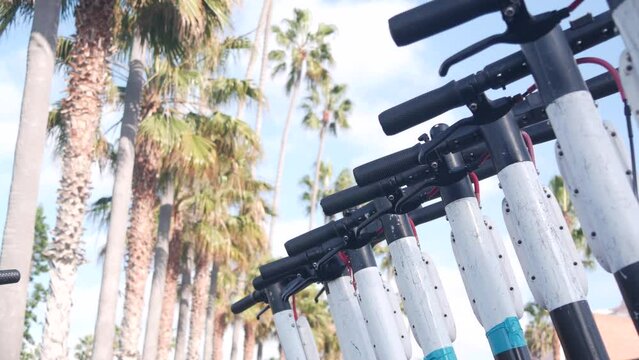 Row of rental electric scooters parked on street sidewalk, many palm trees in city near Los Angeles, California, USA. Shared e-scooters or bike for rent and ride, micromobility vehicle as transport.
