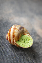 snails green garlic oil fresh healthy meal food snack on the table copy space food background rustic top view