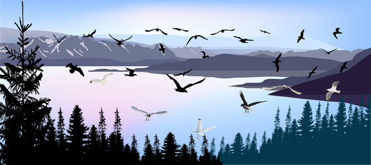 seagulls above sea and forest
