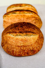 Tree homemade sourdough breads.