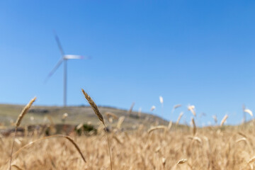 wind turbine on a field
