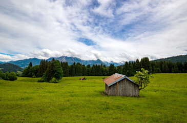 Fototapeta na wymiar beauty daily landscape of an old wooden house on a green field