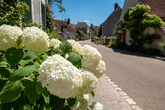 The small village of Chedigny in the Loire Valley, central France. The village has been turned into a giant garden and is known as a garden village or 'Remarkable Garden'. It bursts with colour.