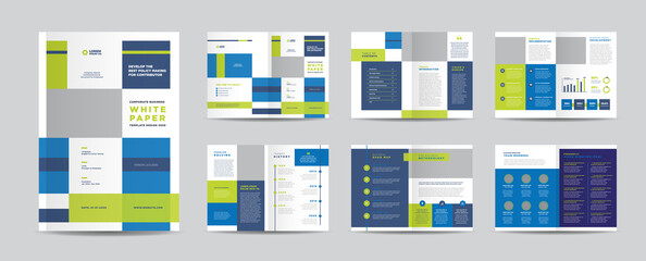 Business White Paper and Company internal document design or Brochure Design