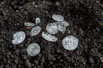 Ancient coin of the Roman Empire.Authentic silver denarius, antoninianus of ancient Rome.Roman...
