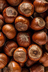 Macro photo Hazelnut nuts. Photo nature food Hazelnut nuts in shell.Turkish hazelnuts. organic natural food. nuts vertical framing. food photos