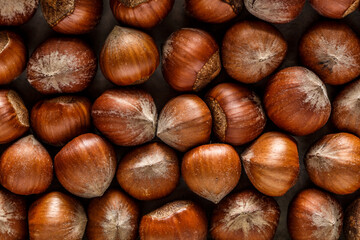 Macro photo Hazelnut nuts. Photo nature food Hazelnut nuts in shell.Turkish hazelnuts. organic natural food. nuts vertical framing. food photos