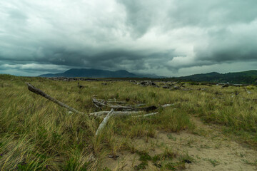 Rockaway Beach in Tillamook County, Oregon