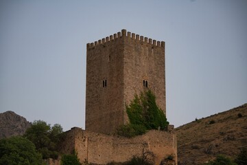 Fototapeta na wymiar La Yedra Castle Tower