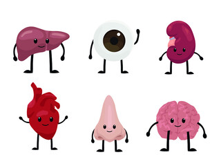 Funny human organs on white background