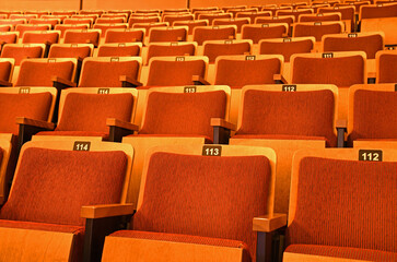 Rows of orange vintage movie theatre seats with numbers on them.