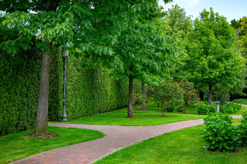Fototapeta na wymiar stone tile walkway curve arcing in the park among green plants of evergreen thuja hedges and mulching trees with deciduous bushes and iron ground garden lantern and retro pillar lighting, nobody.