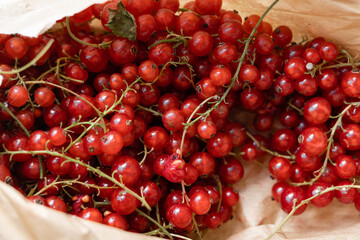 Top view of red currant berries in paper bag. Summer healthy harvest food