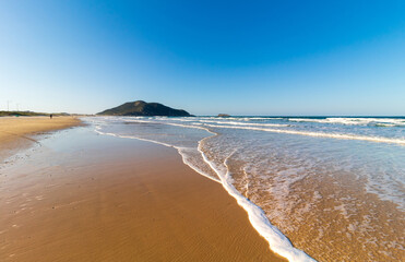 ondas brancas no  em formato de uma arvore na praia com em dia de sol em Florianópolis na Praia do...
