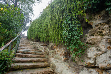 Amazing view in park next to Sacre-Couer  basilica ( cathedral)  -  stone path - stairs and  green climbing plants  in Paris 