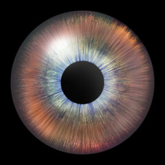 Iris of the eye. Human iris. Eye illustration. Brown eye. Creative digital design.