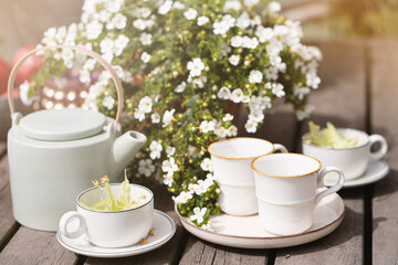 Fototapeta na wymiar linden tea and porcelain teapot in the sunlight, summer tea party with flowers in the garden